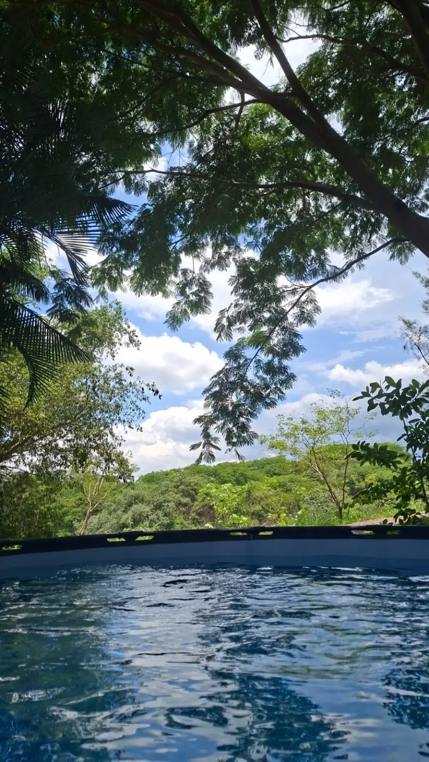Vista de la naturaleza que rodea el rancho